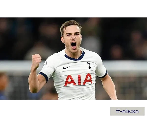 热刺从贝尔格瓦尔转会中获益 球员表现远超1000万欧身价